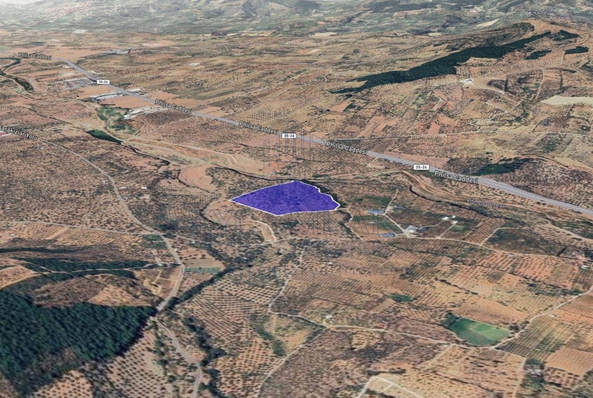 Yolu açılmış, doğa ile iç içe zeytinlik arsa, uygun fiyatı ile dikkat çekiyor.