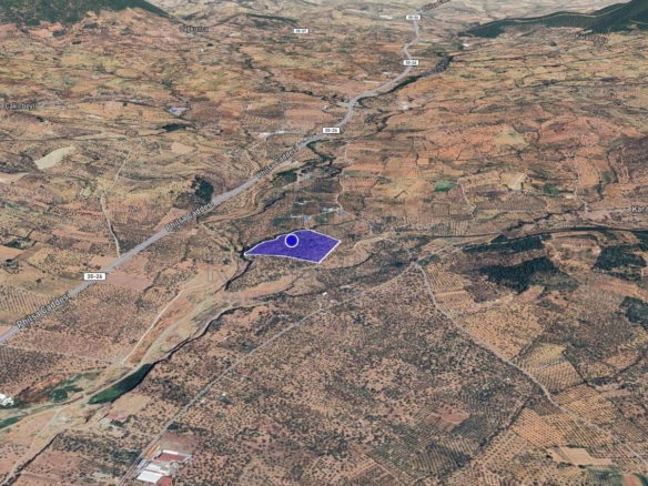 İzmir Torbalı'da satılık zeytinlik arsa, suyu mevcut, 12720 m² alanı ile yatırım fırsatı.