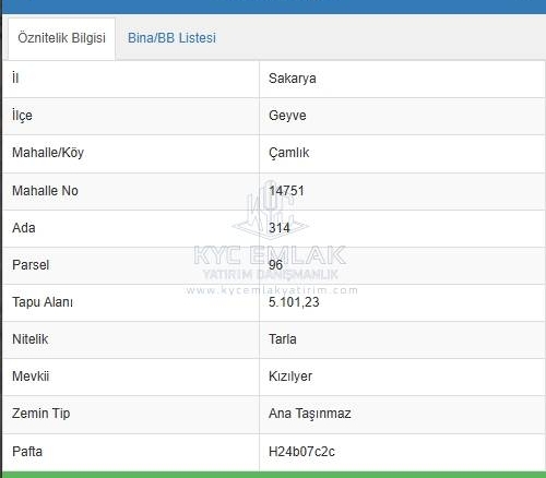 Geyve'de satılık 5250 m² tarla, yolu açılmış ve kuyusu mevcut, yatırım için ideal.