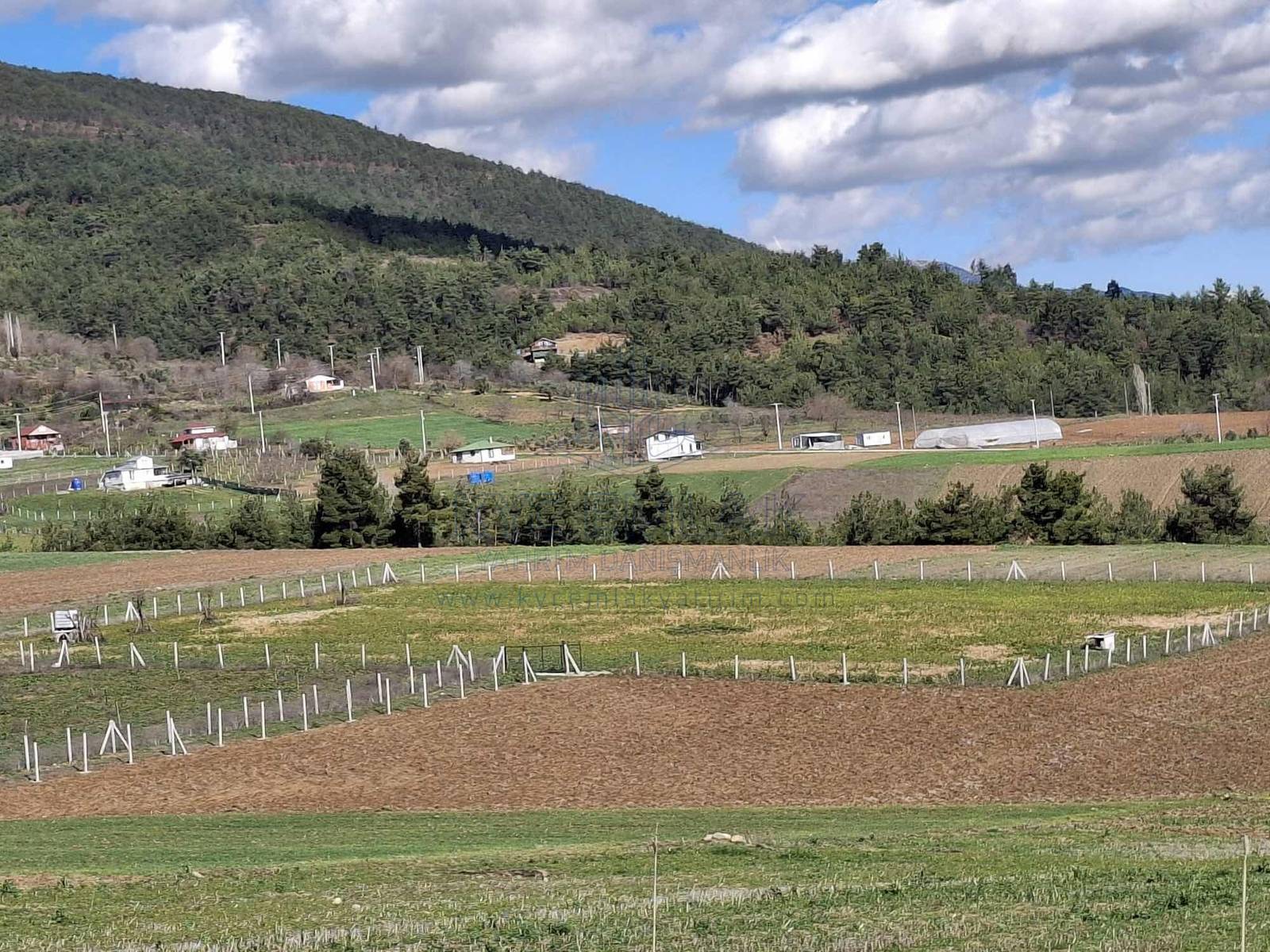 KYC’den Geyve’de Satılık Tarla – Yolu ve Kuyusu Var, fotoğraf 4